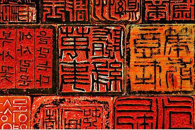 丛林力量觉醒《暗黑破坏神4》全新职业灵巫正式公布