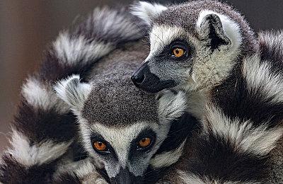 《星海乐章》Steam页面上线 开放世界ARPG