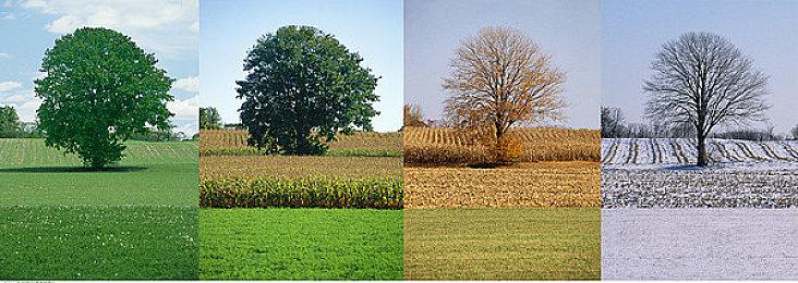 《遗迹2》发售4天 销量超过了100万套